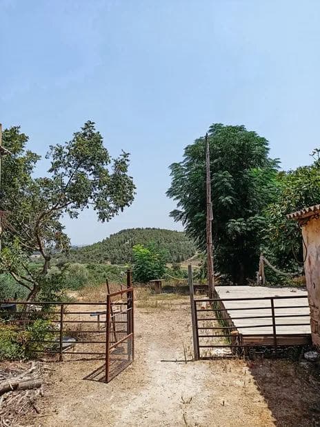 בית מיוחד מ1889 במושבה הקסומה של בת שלמה - תמונה 4