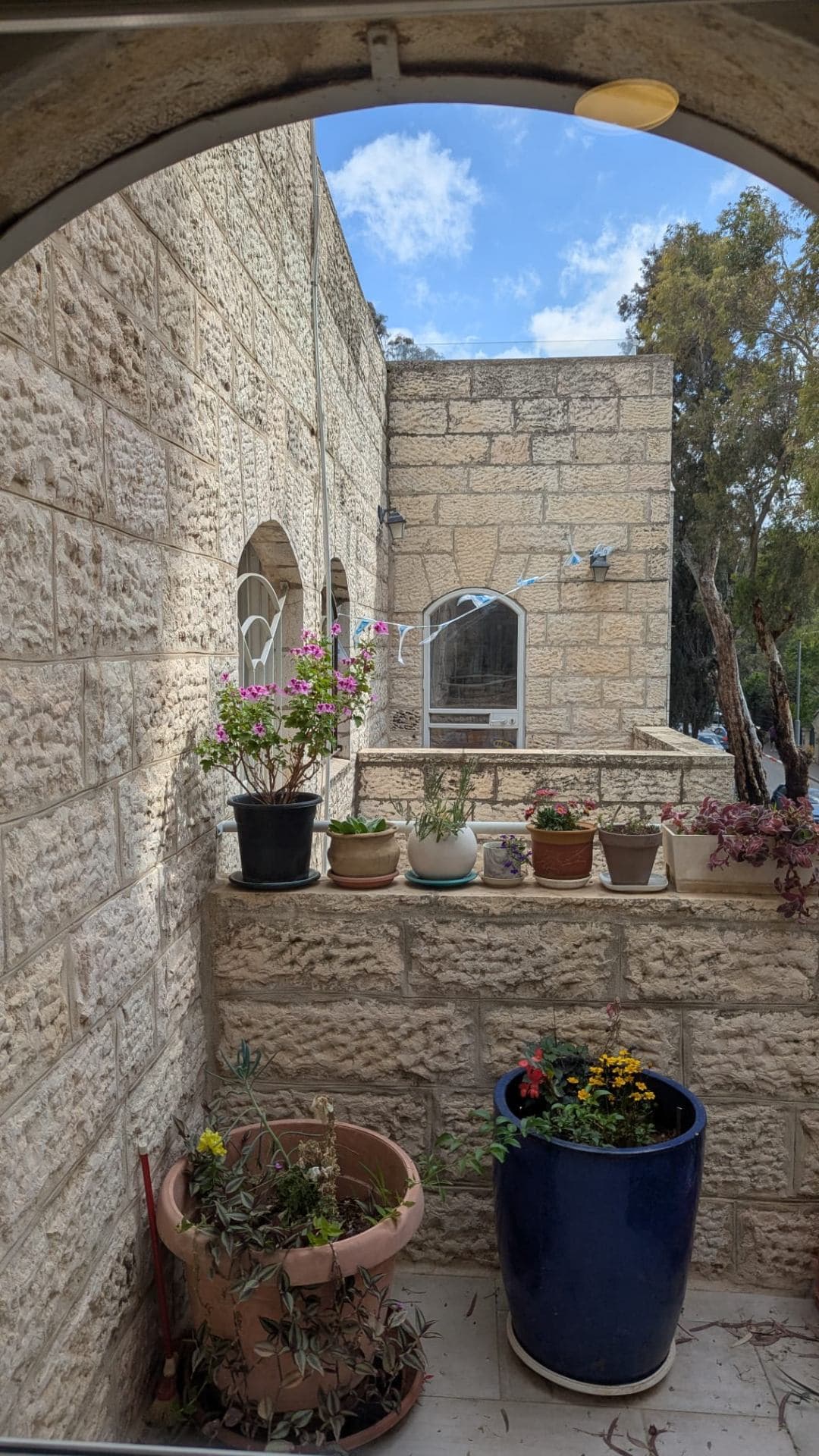 הנכס שלי - תמונה 3