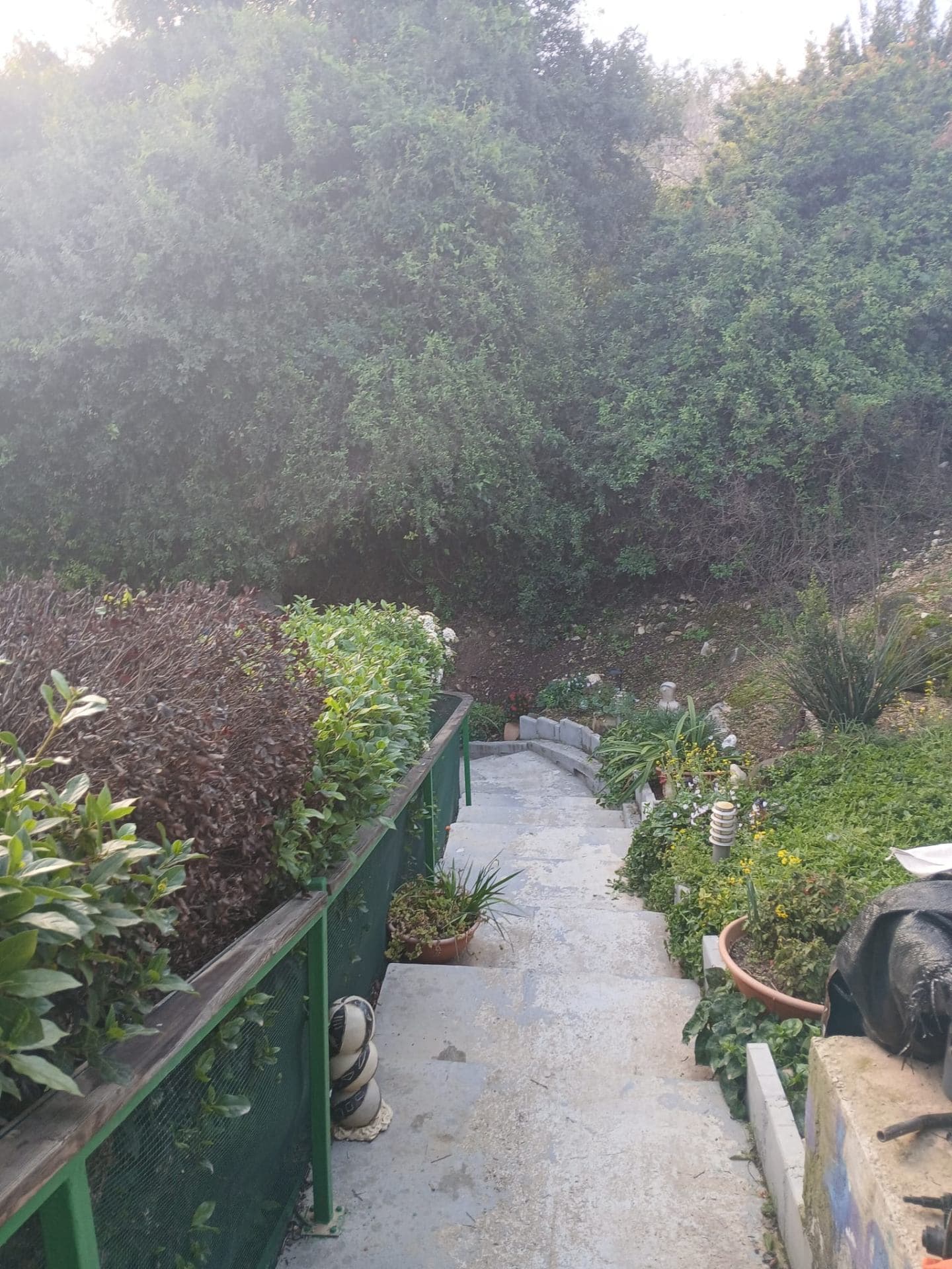 וילה בישוב קהילתי מיוחד בלב גן לאומי תל שימרון