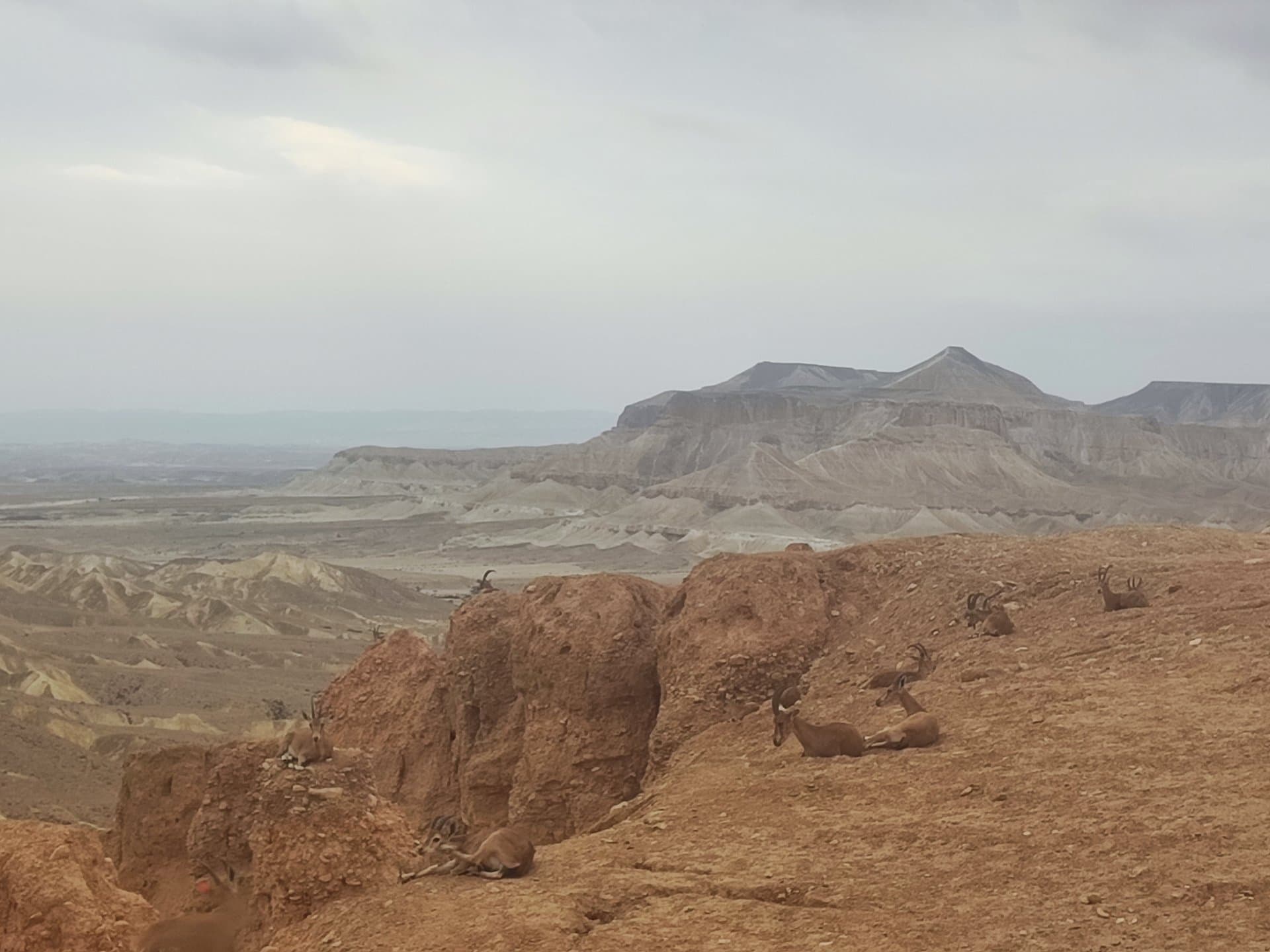 יחידה עם כניסה נפרדת בבית פרטי. מתאימה לאדם אחד או שניים.