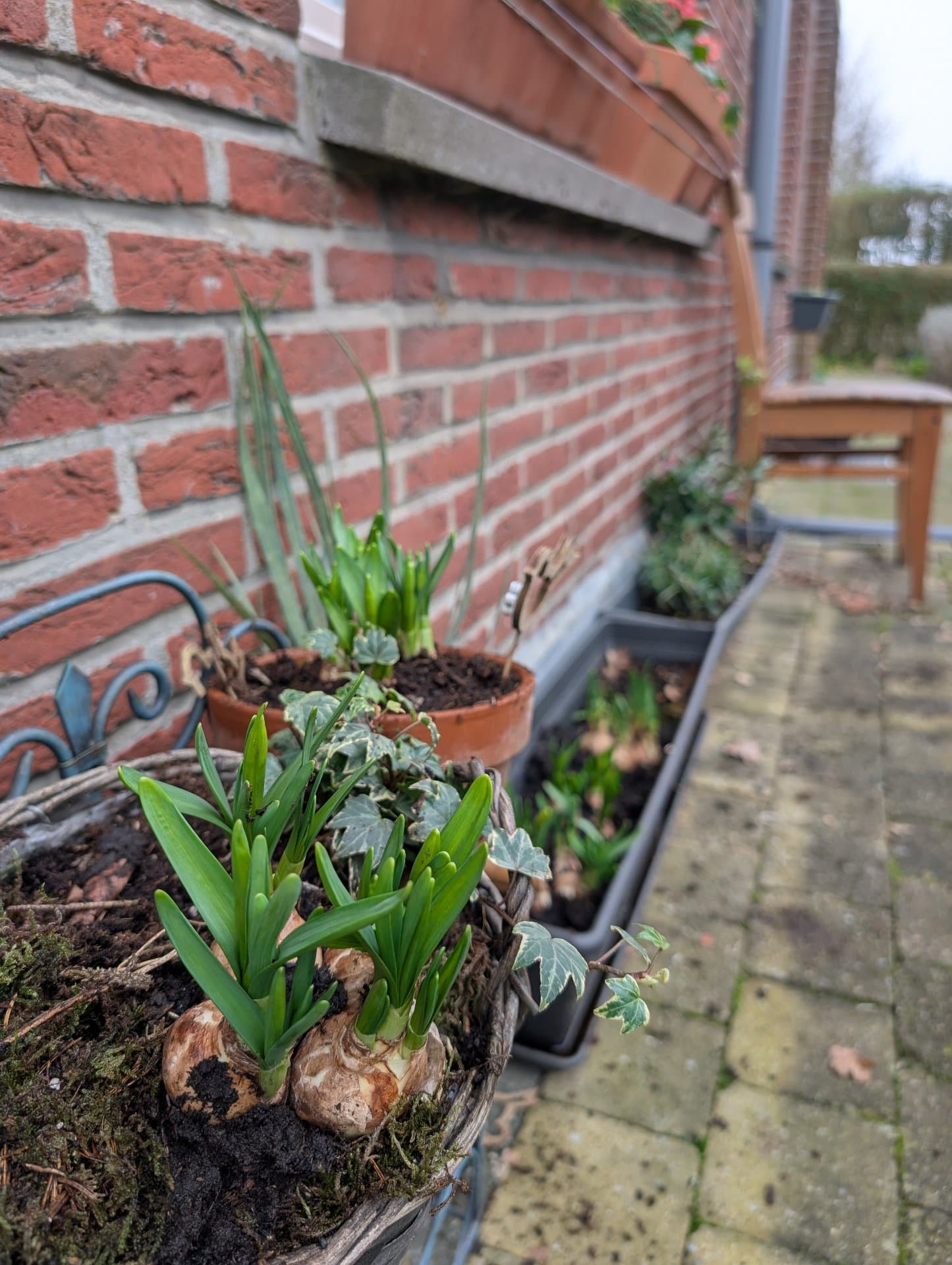 בית עם גינה Town House בפרבר שקט של Leuven - תמונה 2