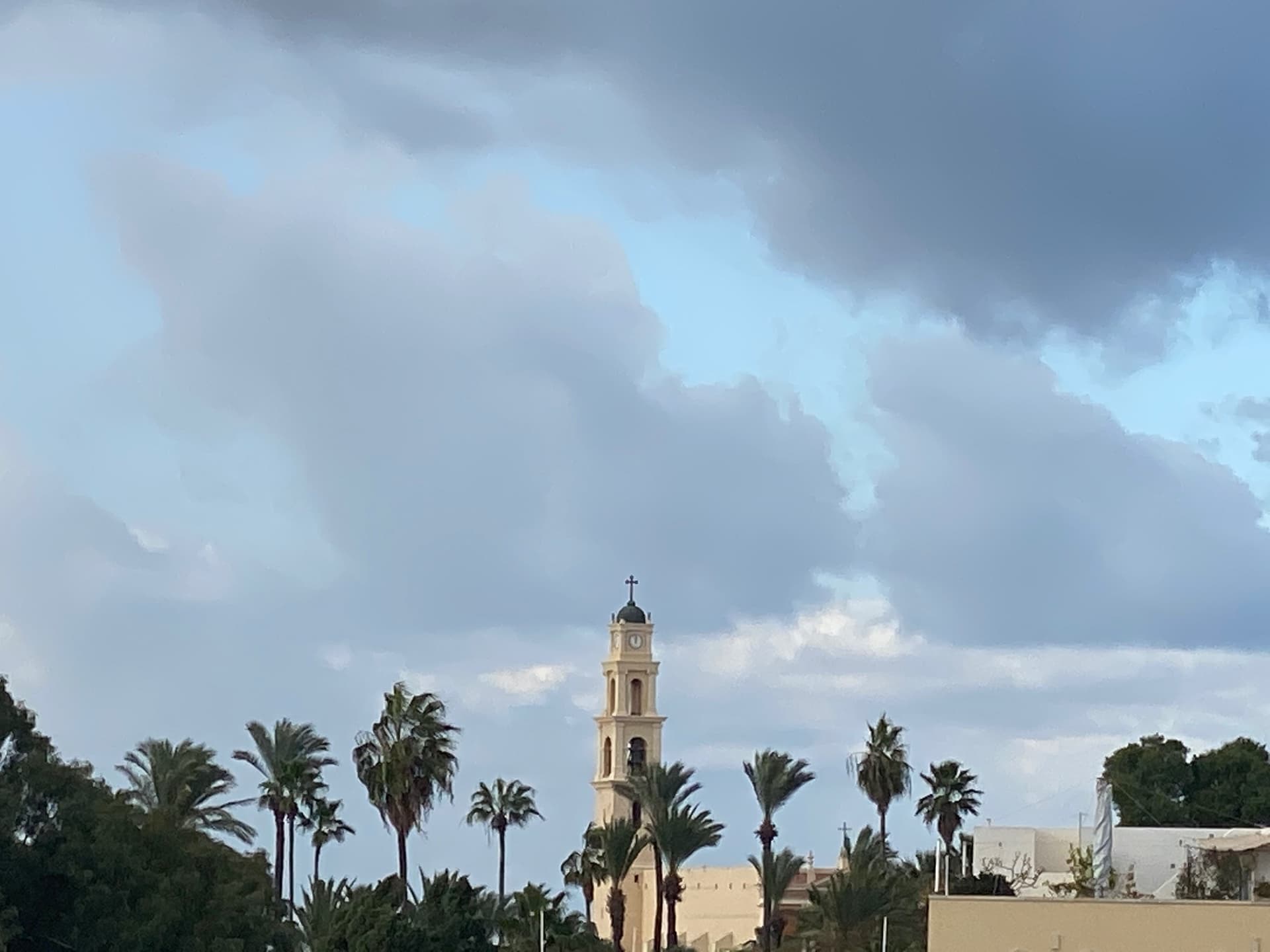 טריפלקס עם גג ביפו צמוד לשוק הפשפשים