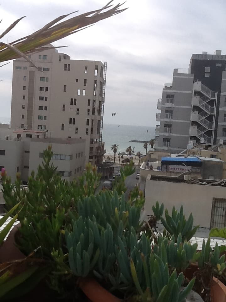 דופלקס מקסים במרכז תל אביב ועל שפת הים - תמונה 2