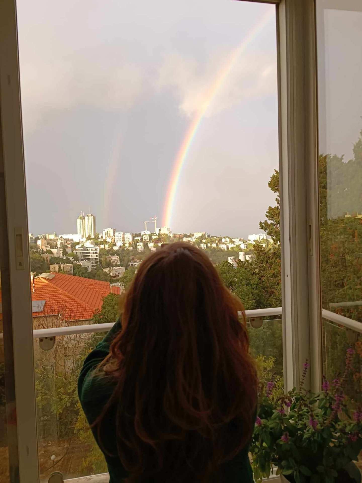דירה חיפאית מלאה בירוק, אור ואנרגיות מעולות - תמונה 2
