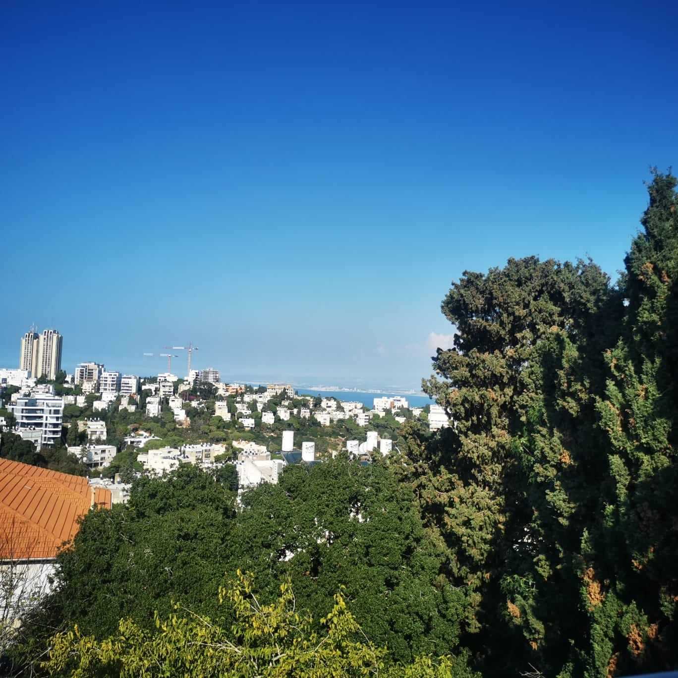 דירה חיפאית מלאה בירוק, אור ואנרגיות מעולות - תמונה 3