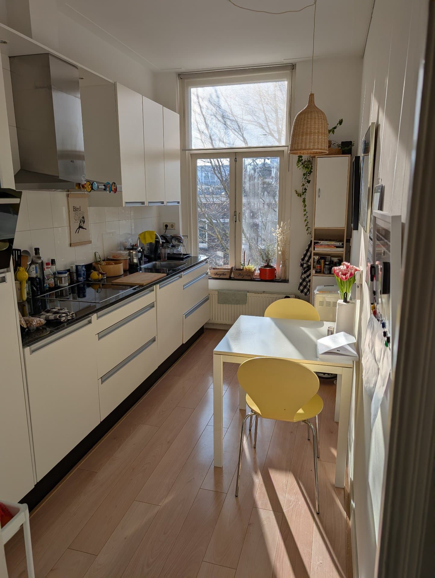 דירה מהממת בלב אמסטרדם - תמונה 4