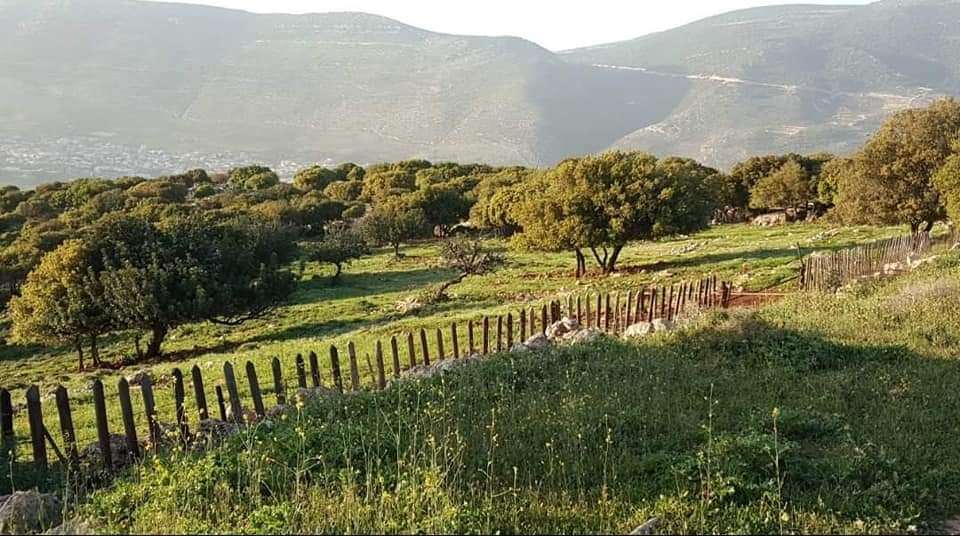 בית כפרי בגליל - תמונה 2