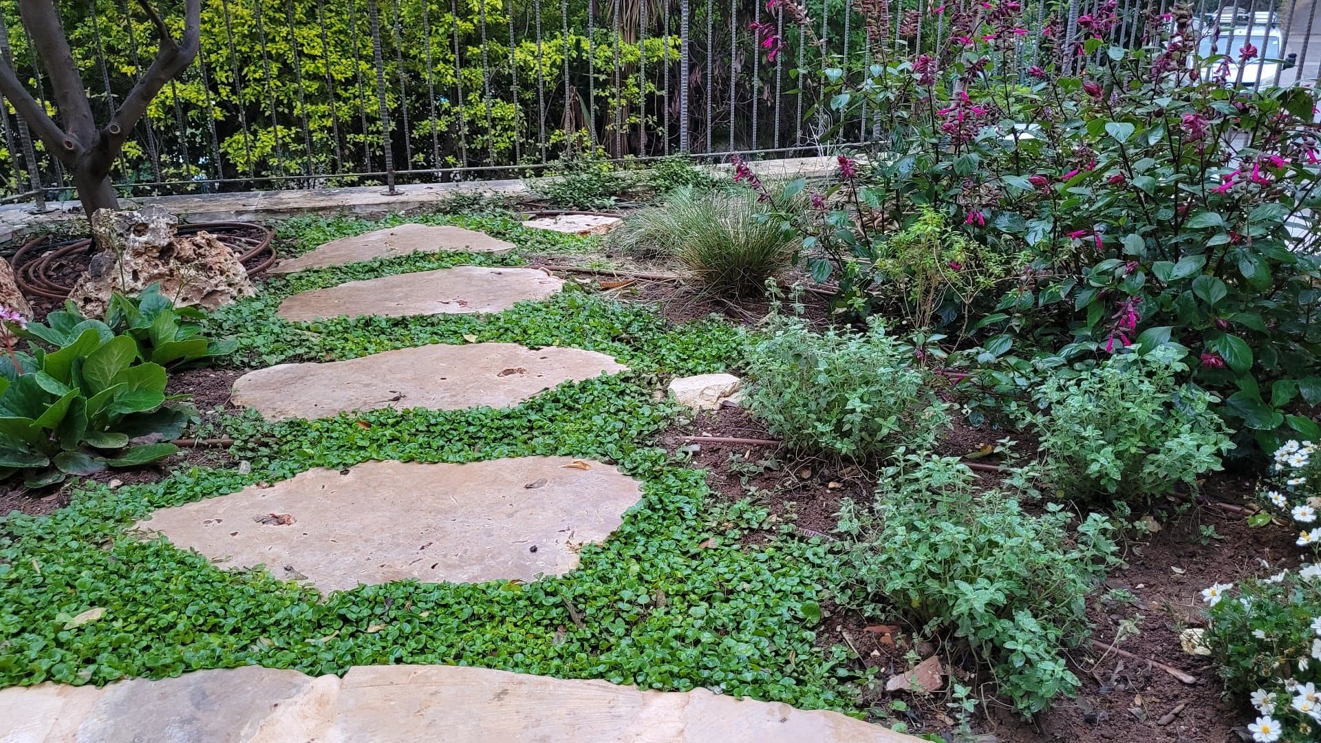 דו משפחתי מרווח ונעים עם גינה מטופחת, סמוך למרכז טבעון וצמוד לטבע הסובב