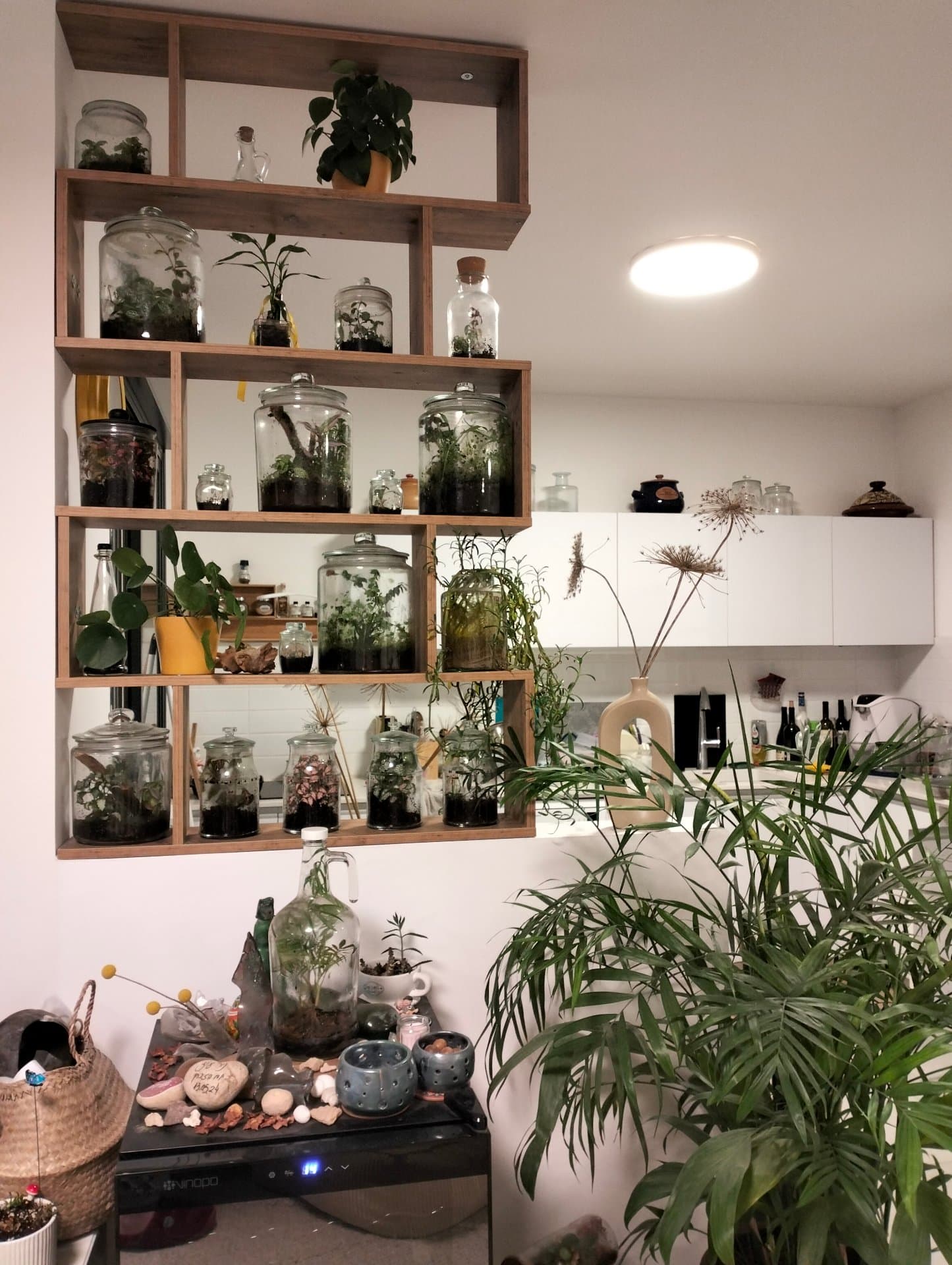 דירה גדולה ומוארת בכרמי גת מול הספורט קרוב לכביש 6 - תמונה 2